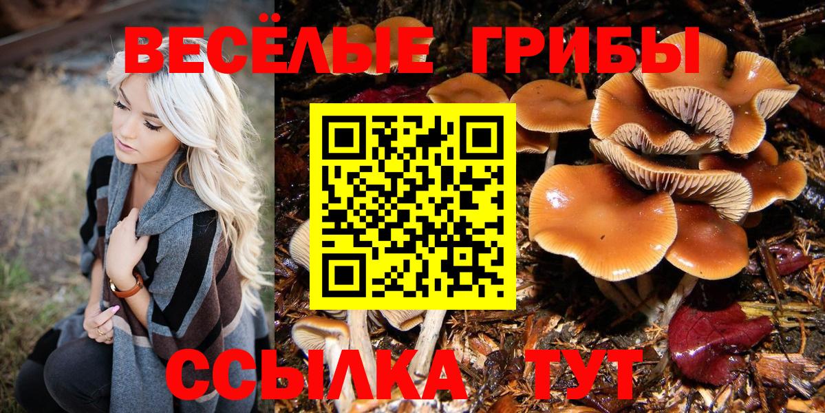 Псилоцибиновые грибы Psilocybe  Вход с VPN  Кинель 